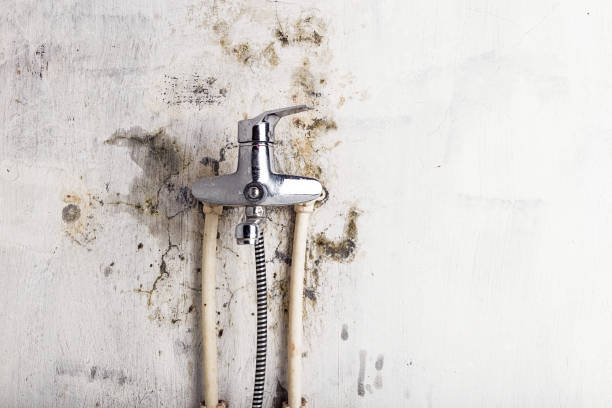 Water Damage Restoration in Norris City, IL
