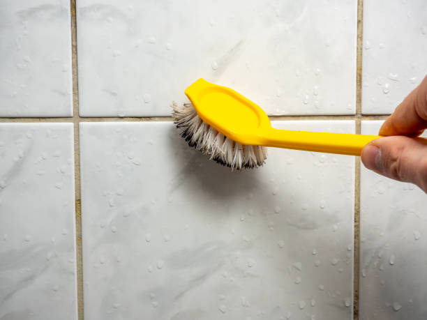 Best Home Mold Removal  in Norris City, IL