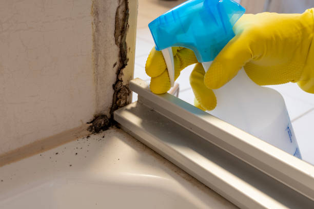 Best Mold Testing  in Norris City, IL